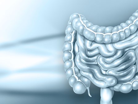 Maladies Inflamatoires Chroniques Intestinales (MICI)