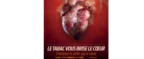 Coeur et artères en danger, dès 1 cigarette par jour