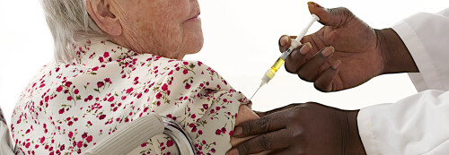 Vaccination antigrippale : la campagne continue