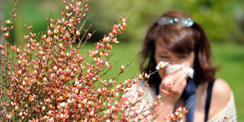 Alerte pollens : Comment les pharmaciens peuvent aider les allergiques ?